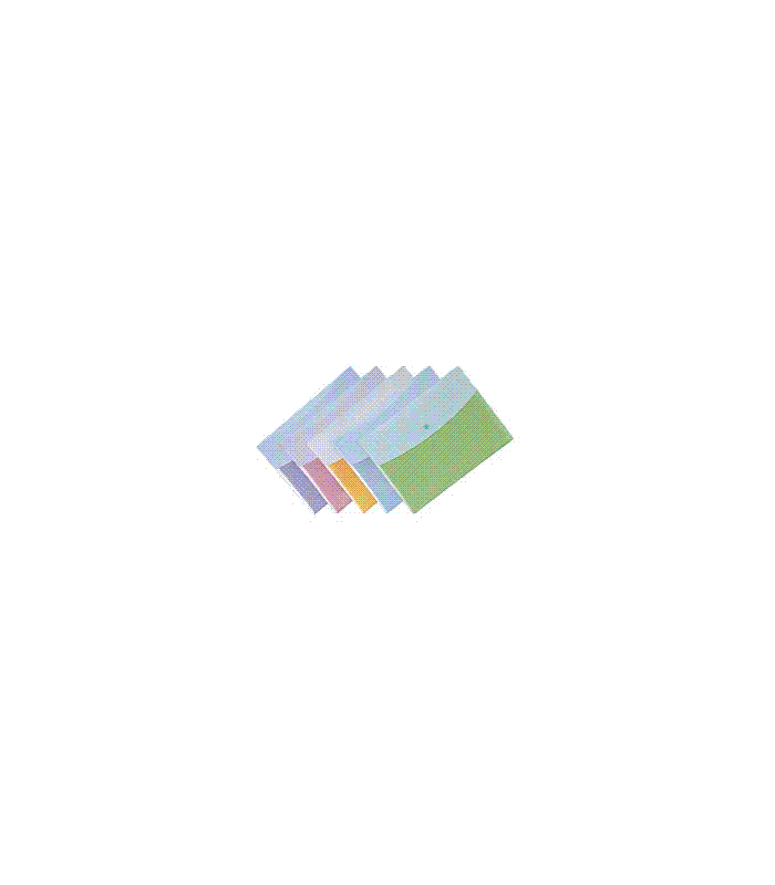 PP Document Bag PP Document Bag
