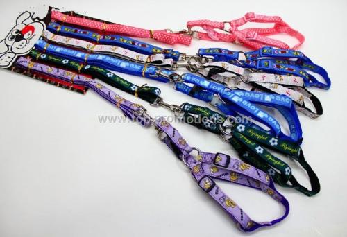 Pet Collar and Leash