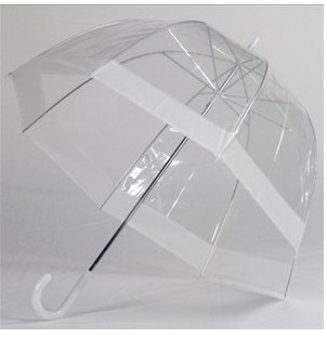 19 is  reinforced J-shape clear dome apollo umbrella