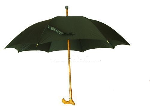 walking stick umbrella