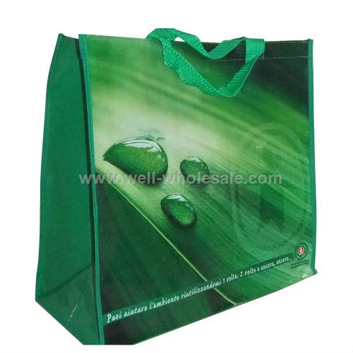 bag for shopping