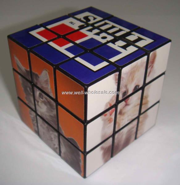 1/4" Puzzle Cube|Puzzle Cube