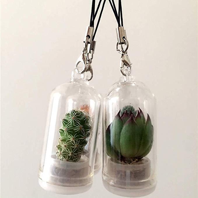 2022 cute gift baby tree alive succulent plant keychain