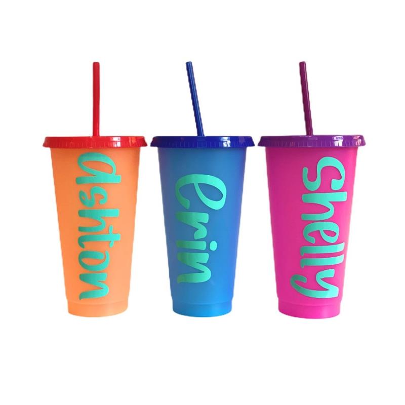 Cold water travel Plastic Color change cup With straw and lid