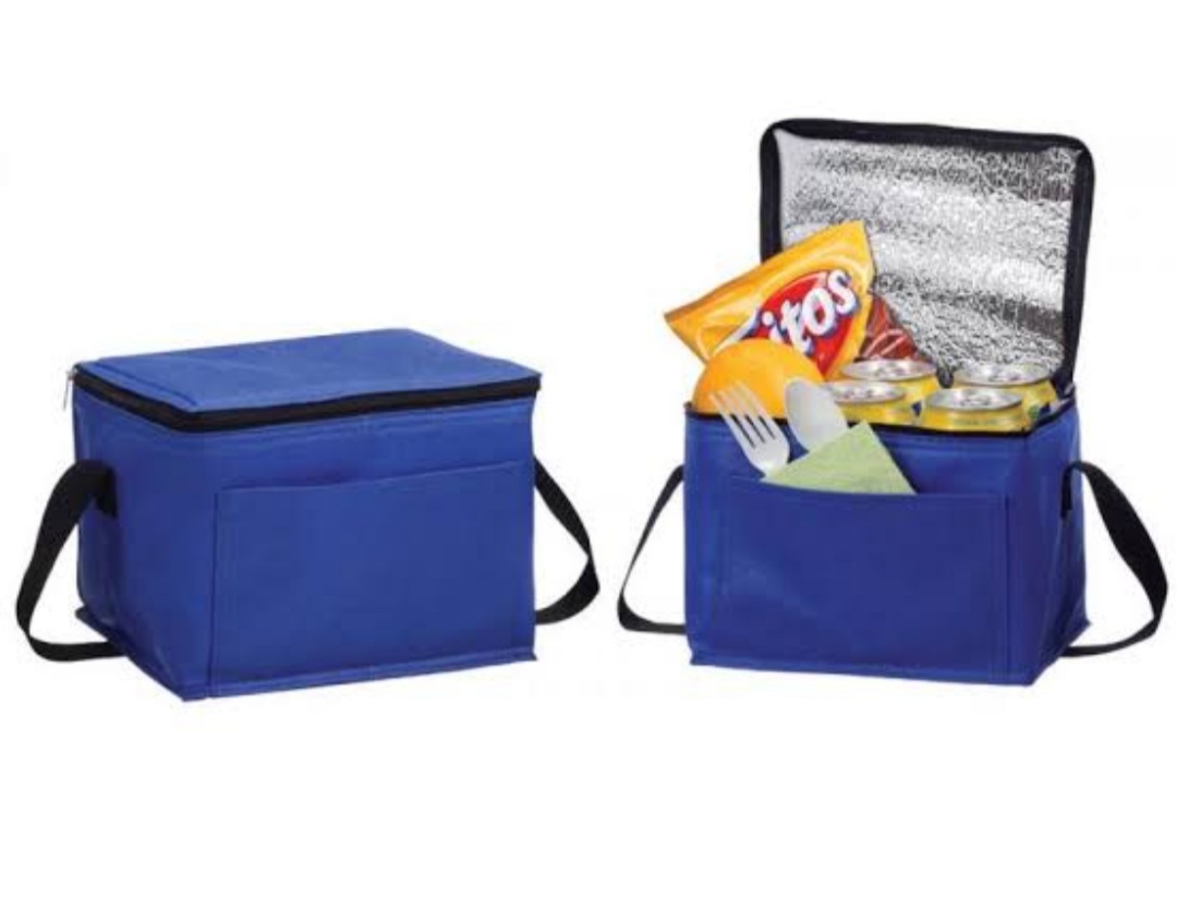 Ice bag Lunch Cooler